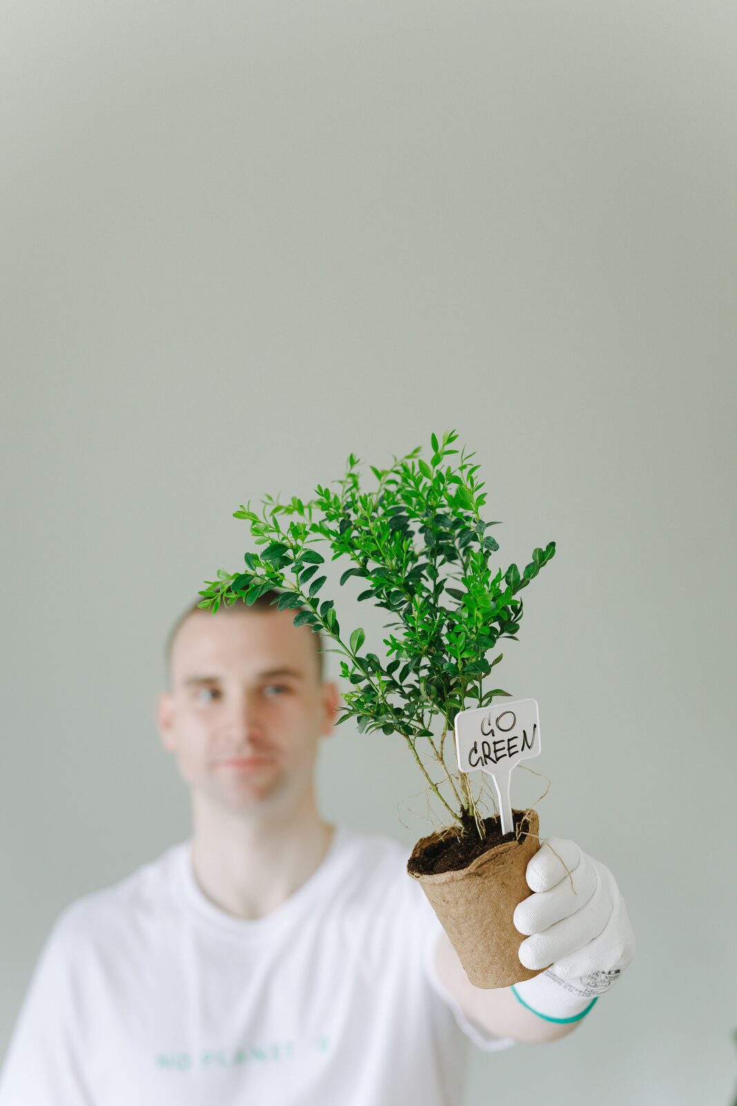 A person holding a potted green plant